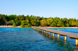 Fototapeta Pomosty - Wooden pier, bridge to island with tropical garden. Maldives island, Indian Ocean. Travel summer vacation background