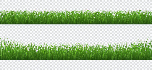 Green grass with plants border set isolated on transparent background.