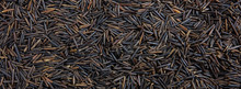 Black Wild Rice Seeds Full Frame Background, Banner