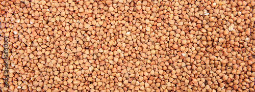 Zdjęcie: Raw buckwheat seeds full frame background, banner Raw buckwheat seeds full frame background, banner