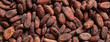 Cocoa beans full frame background, banner. Close up view