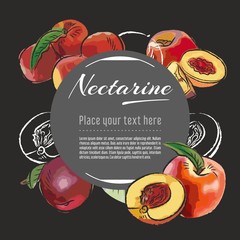 Wall Mural - nectarine vector hand drawn healthy food illustration. Fruit design with sketch elements for banner, greeting card	