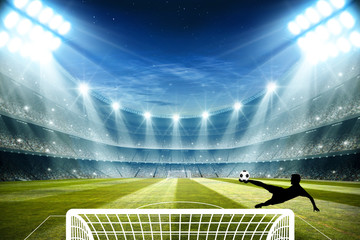 Wall Mural - Lights at night and football stadium 3d rendering