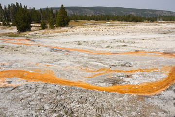 Geyser in old faithful Basin in Yellowstone National Park in Wyoming