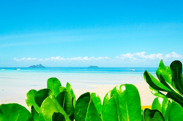 Canvas Print - paesaggio bello isola oceano cielo spiaggia