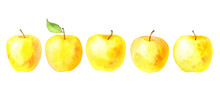 Watercolor Drawing Yellow Apples
