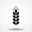 Wheat ear glyph icon vector