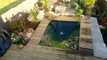 Rectangular Garden Pond With Water Fountain And Plants