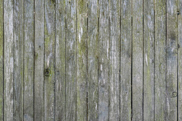 old grunge wood wall texture background