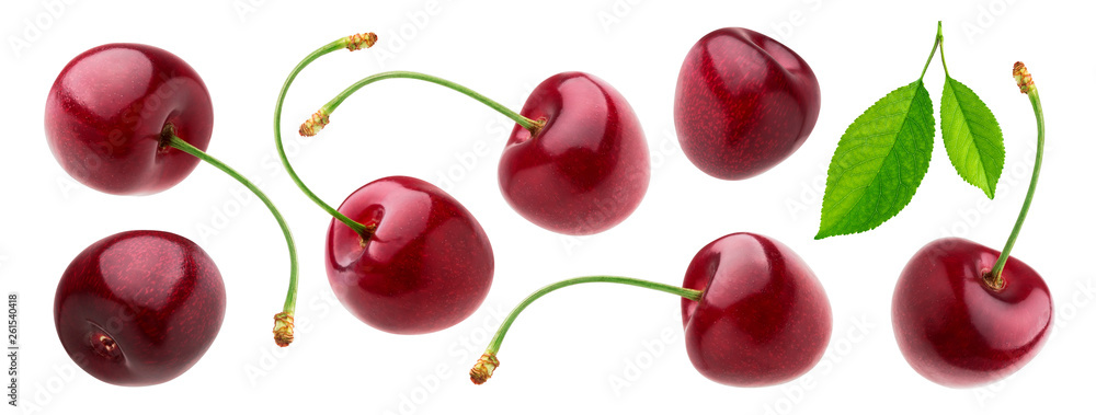 Cherry isolated on white background with clipping path, fresh cherries with stems and leaves - obrazy, fototapety, plakaty 