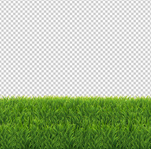 Green Grass Border Transparent Background