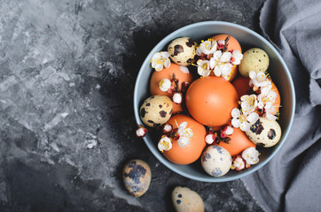 Wall Mural - Eggs and Branches in Blossom, Easter Holiday Background