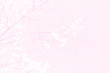 © grooveriderz - Romantic blossom sakura flower petals.Sakura branch in springtime with falling petals.