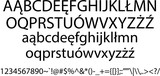 Fototapeta  - Calligraphic Vintage Handwritten vector Font for Lettering. Trendy Retro Calligraphy Script. Design vector linear Font Title Header Lettering Logo Monogram - Wektor 