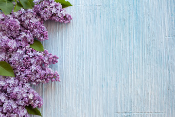 Wall Mural - Purple lilac on a blue background