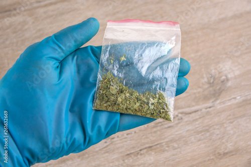 Download Sachet Of Synthetic Smoking Substance Cannabis Weed Marijuana On The Palm Of A Laboratory Researcher Stock Photo Adobe Stock