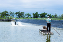An Elderly Fisherman In Boat Checks Fishing Net In Closed Reservoir.