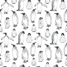 Penguin Sketch Seamless Pattern. Hand Drawn Vector Illustration.