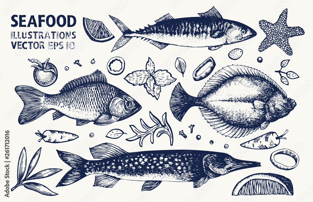Fishes and spices vector set. Vintage hand drawn seafood illustrations. Can be use for restaurants menu, cover, packaging. Retro background. - obrazy, fototapety, plakaty 