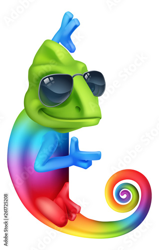 A chameleon cool rainbow co...