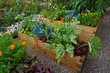 Raised vegetable container with selection of vegetables and flowers in an allotment garden