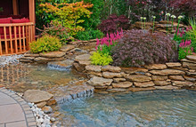 The Pond Area In An Aquatic Garden With Planted Rockery And Waterfalls And Summer House