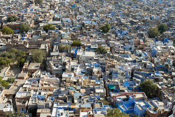 Jaipur the blue city