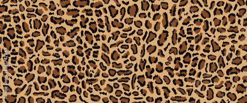 Photo Leopard pattern design, vector illustratin, trendy background, Leopard fur pattern seamless real hairy texture