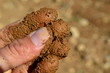 Fingers rubbing soil feeling the texture