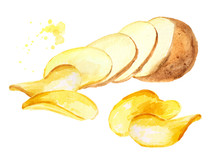 Natural Raw Potato Slices Turning Into Chips. Watercolor Hand Drawn Illustration, Isolated On White Background