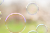Fototapeta Zwierzęta - Soap bubbles fly up on natural background of spring garden