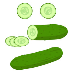 Cucumber set. Vector illustration. Isolated.