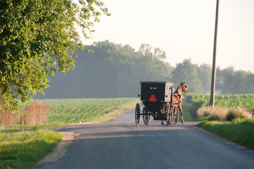 Wall Mural - Amish Buggy Turns Corner on Rural Roads