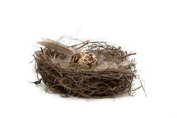 egg lies in a nest on a white background