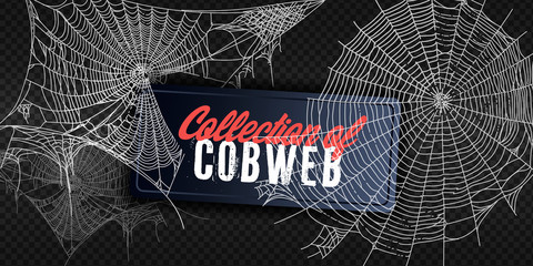 Collection of Cobweb, isolated on black, transparent background. Spiderweb for Halloween design. Spider web elements,spooky, scary, horror halloween decor. Hand drawn silhouette, vector illustration