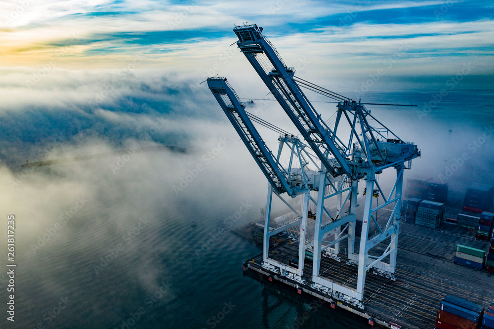 Port Freight Cranes with Fog Aerial Photo From Drone Long Beach - obrazy, fototapety, plakaty 