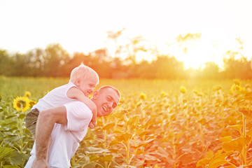 Wall Mural - Happy father with son on back walking on a green field of blooming sunflowers at sunset