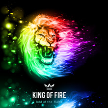 Head Of Aggressive Lion In Rainbow Color Flames. King Of Fire. Illustration On Black Background