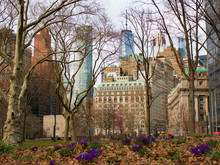 View Of One World Trade Center From Battery Park, New York With Purple Spring Flowers