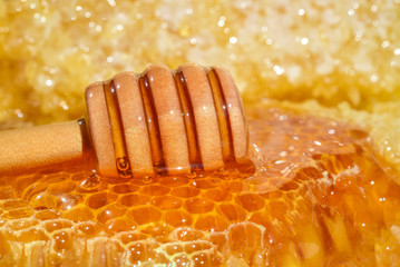 Wall Mural - honey and honeycomb