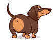 Cute wiener sausage dog vector cartoon illustration isolated on white. Simple  drawing of friendly chocolate and tan dachshund puppy, rear view. Funny doxie butt, dog lovers, pets, animals theme.