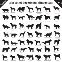 Vector Dogs Silhouettes 1