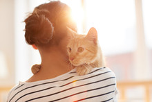 Back View Portrait Of Unrecognizable Young Woman Holding Gorgeous Ginger Cat On Shoulder, Copy Space