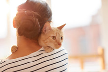 Back View Portrait Of  Young Woman Holding Gorgeous Ginger Cat On Shoulder, Copy Space