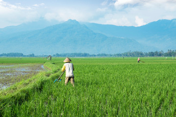 Two farmers with beautiful mountain background