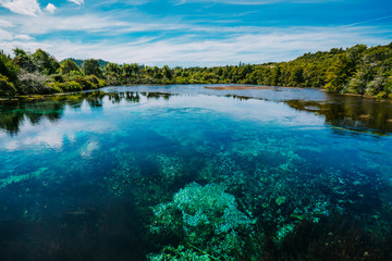 Te Waikoropupū Springs (Pupu Springs), New Zealand