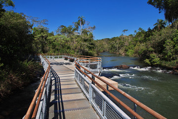 Canvas Print - Iguazu Falls, Argentina, Brazil