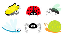 Butterfly Lady Bug Ladybird Fly Housefly Spider Snail Dragonfly Insect Icon Set. Baby Kids Collection. Cute Cartoon Kawaii Funny Character. Smiling Face. Flat Design. White Background.