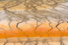 Geyser In Grand Prismatic Spring Basin In Yellowstone National Park In Wyoming