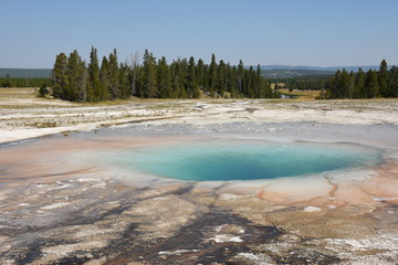 Geyser in grand prismatic spring Basin in Yellowstone National Park in Wyoming